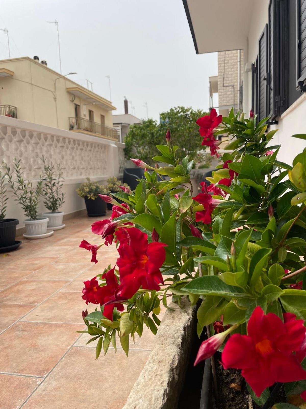 הוילה פולינאנו א מארה Rosa Dei Venti מראה חיצוני תמונה
